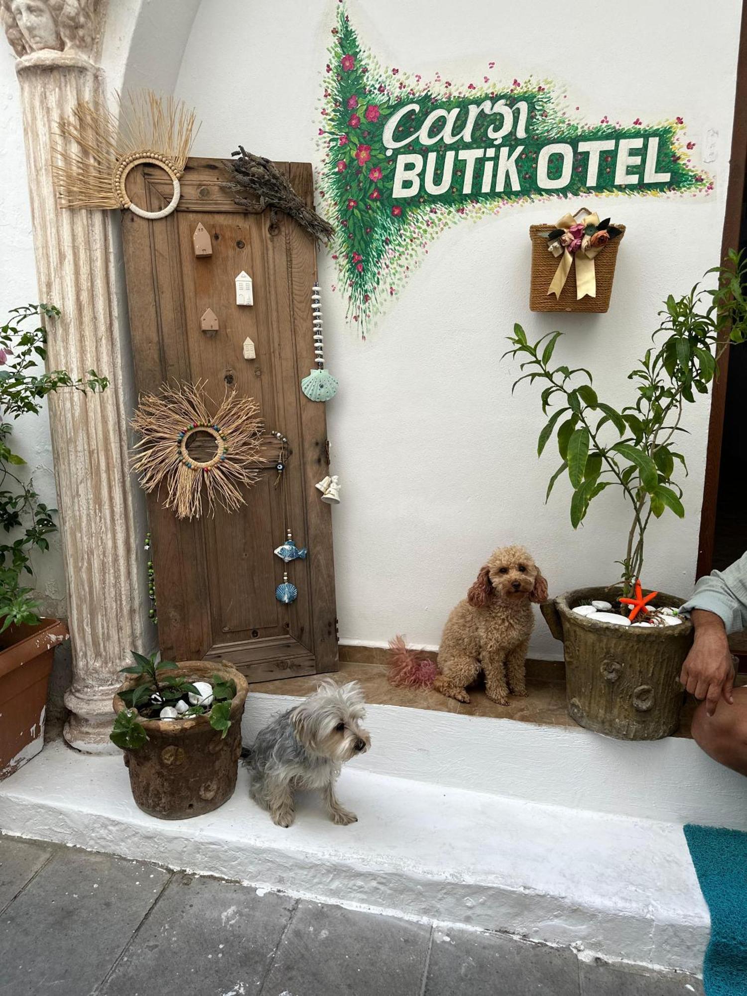 Carsi Butik Otel Bodrum Eksteriør billede